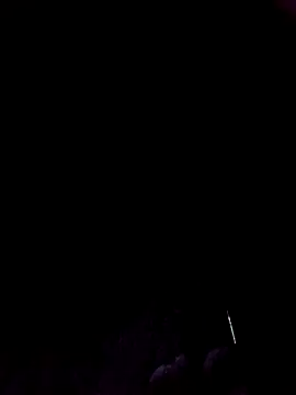 Ridick2025 online show from 11/19/25, 08:47