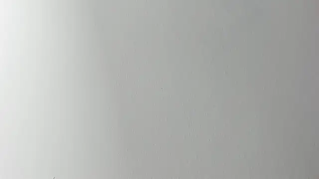 Lady miss    online show from 11/06/25, 12:17