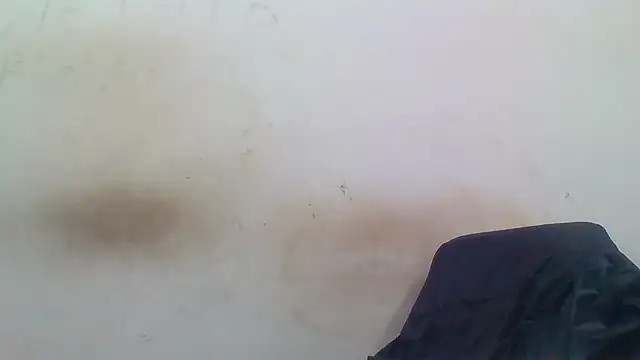 sasatimido online show from 12/03/25, 01:31