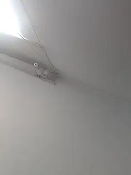 Snapshot of Tattoboy19cm chatting on 10/19/25, 08:09 Tattoboy19cm online show from 10/19/25, 08:09