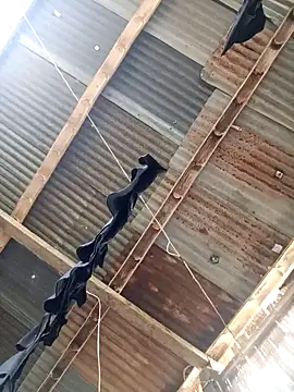 Davir2001 online show from 03/14/26, 09:42