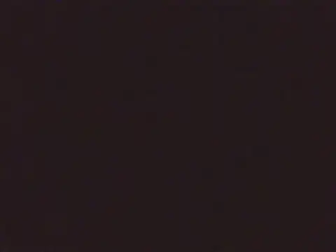 Snapshot of Laurenflex chatting on 10/03/25, 02:03 Laurenflex online show from 10/03/25, 02:03