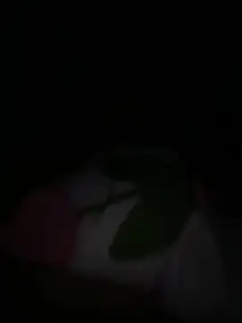 tarantan1993 online show from 03/05/26, 11:01