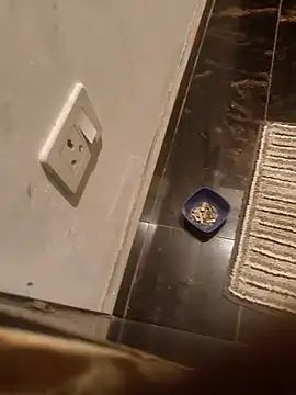 Snapshot of HootedTuner chatting on 11/13/25, 08:08 HootedTuner online show from 11/13/25, 08:08