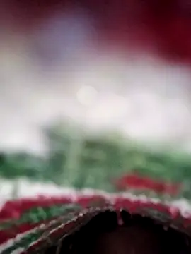 ParousFlow online show from 02/13/26, 11:28