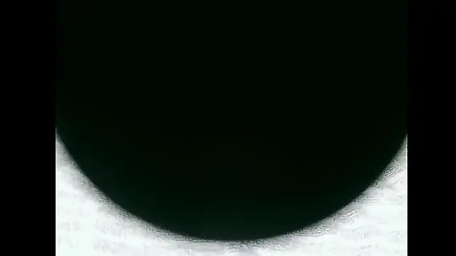 santinini2 online show from 04/11/26, 07:51