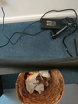 MyDick4You666 online show from 03/05/26, 10:44