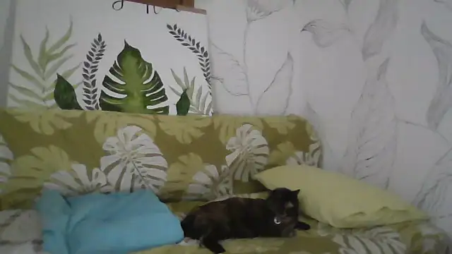 Snapshot of Catty_Lady chatting on 09/27/25, 06:35 Catty Lady online show from 09/27/25, 06:35