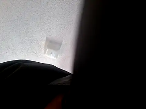 wodash9921 online show from 10/22/25, 04:07