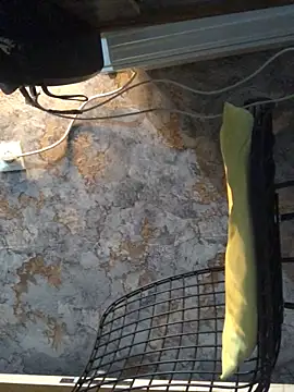 Snapshot of AlevNaz chatting on 09/30/25, 02:05 AlevNaz online show from 09/30/25, 02:05