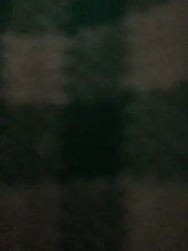 Snapshot of AlevNaz chatting on 10/16/25, 01:45 AlevNaz online show from 10/16/25, 01:45