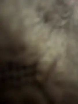 anonimgirl18old online show from 02/03/26, 08:58