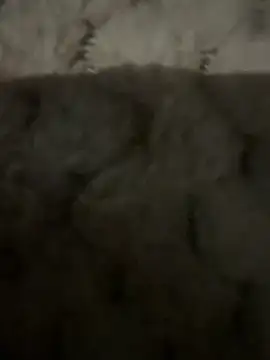 anonimgirl18old online show from 02/09/26, 06:45