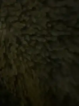 anonimgirl18old online show from 02/21/26, 06:31