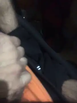 Luigi831 online show from 04/12/26, 05:12