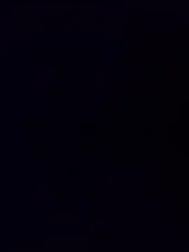 minnetird online show from 12/15/25, 07:12