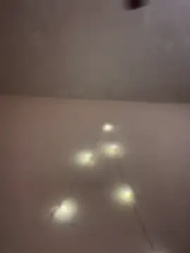 aka big online show from 02/14/26, 06:48