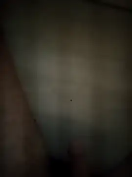 Patressssss online show from 04/18/26, 09:15