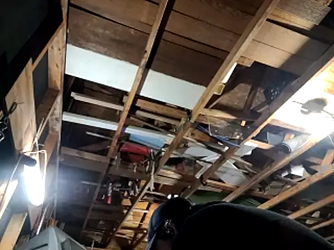 thejuicybacon online show from 11/22/25, 02:10