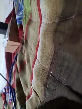 Telugu person12 online show from 02/16/26, 09:00