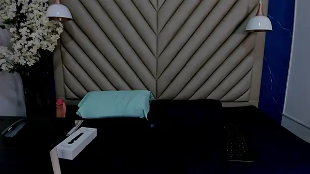 Snapshot of Ibbie_drastic chatting on 01/11/26, 12:10 Ibbie drastic online show from 01/11/26, 12:10