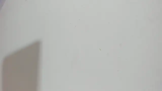 Snapshot of Sophia_Ebony chatting on 05/15/26, 12:12 Sophia Ebony online show from 05/15/26, 12:12