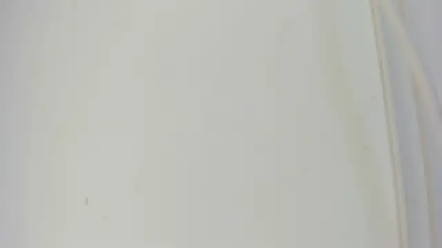 Snapshot of Sophia_Ebony chatting on 05/21/26, 12:12 Sophia Ebony online show from 05/21/26, 12:12