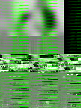 Snapshot of Paugrosso1764 chatting on 11/19/25, 03:34 Paugrosso1764 online show from 11/19/25, 03:34