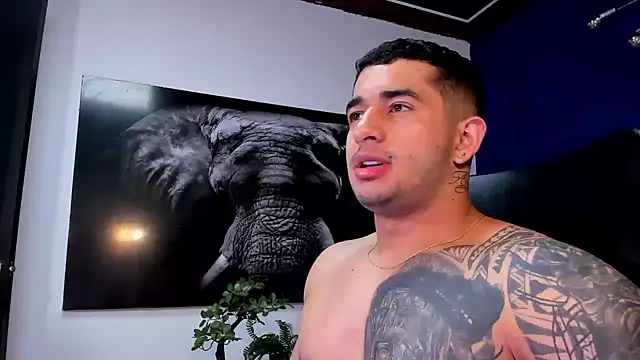 king falconer online show from 01/11/26, 03:44