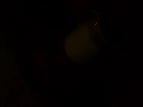 Snapshot of PointXXL chatting on 12/16/25, 02:33 PointXXL online show from 12/16/25, 02:33