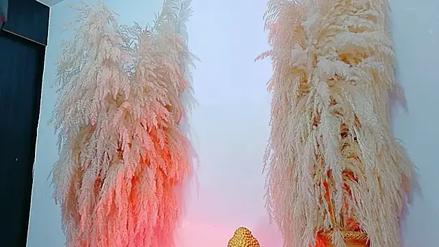 JulietaDavis online show from 02/04/26, 09:37