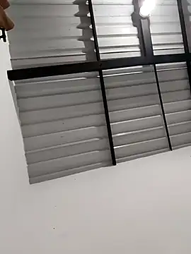 Snapshot of Hiroshi_Shen chatting on 10/29/25, 10:17 Hiroshi Shen online show from 10/29/25, 10:17