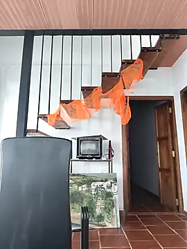 Snapshot of Hiroshi_Shen chatting on 11/02/25, 12:07 Hiroshi Shen online show from 11/02/25, 12:07