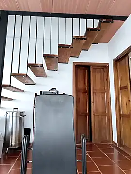 Snapshot of Hiroshi_Shen chatting on 11/15/25, 11:29 Hiroshi Shen online show from 11/15/25, 11:29