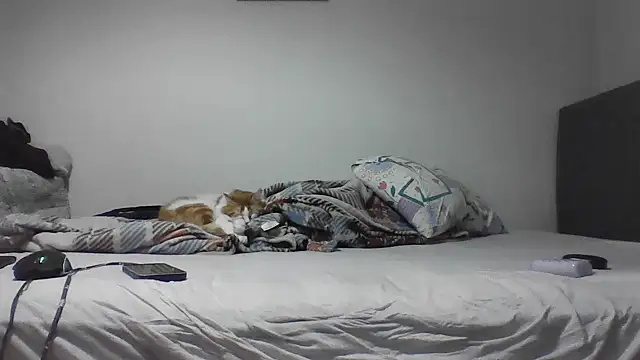 kocasosisli online show from 05/30/26, 05:43