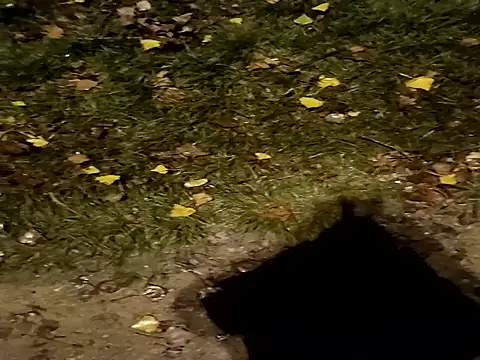 Snapshot of jvdzj-0_ chatting on 10/29/25, 10:44 jvdzj-0  online show from 10/29/25, 10:44