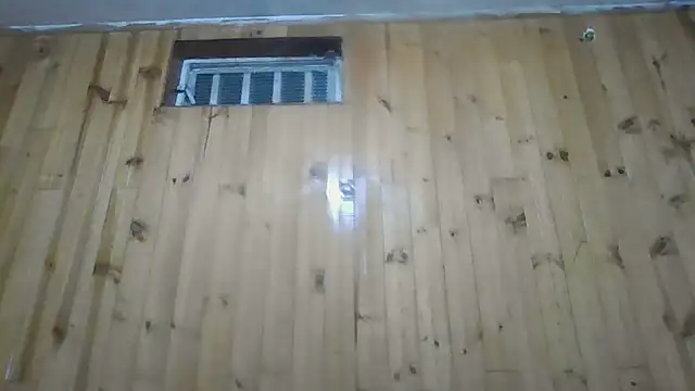 Snapshot of Roselingalvis13 chatting on 10/30/25, 03:19 Roselingalvis13 online show from 10/30/25, 03:19