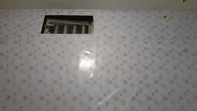 Roselingalvis13 online show from 02/02/26, 02:43