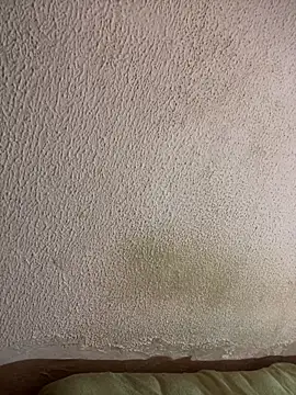 Snapshot of Kellye_hotTs chatting on 01/16/26, 07:40 Kellye hotTs online show from 01/16/26, 07:40