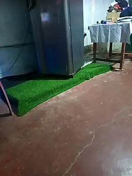 BabyHansi online show from 03/29/26, 05:02