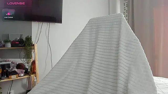 wwow meow online show from 02/13/26, 06:42