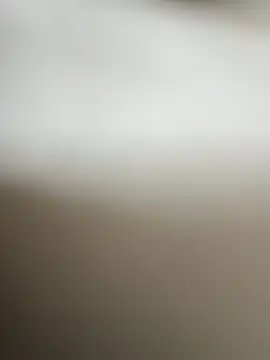 guridosul051 online show from 04/01/26, 11:33