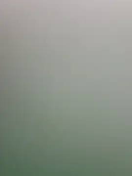 guridosul051 online show from 04/13/26, 11:48