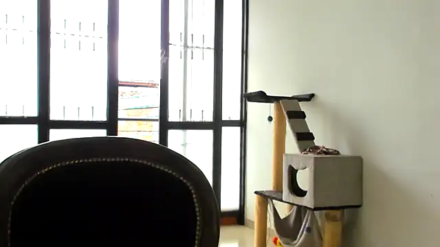 Snapshot of ADHARAMILLER__1111 chatting on 11/23/25, 02:28 ADHARAMILLER 1111 online show from 11/23/25, 02:28