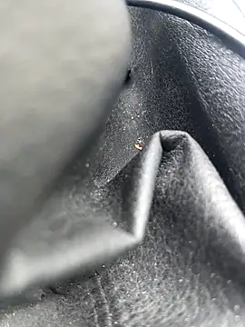 legaros online show from 04/03/26, 02:26