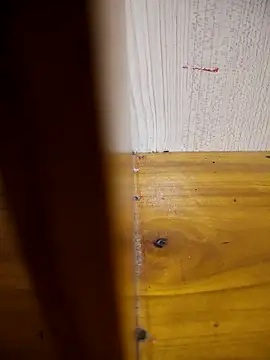 daisylouis online show from 03/24/26, 02:49