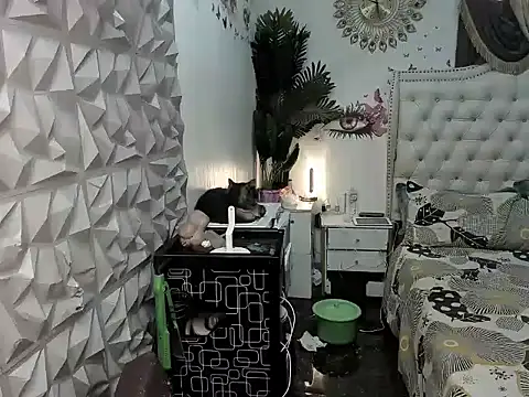 Snapshot of janecomander chatting on 03/02/26, 08:54 janecomander online show from 03/02/26, 08:54