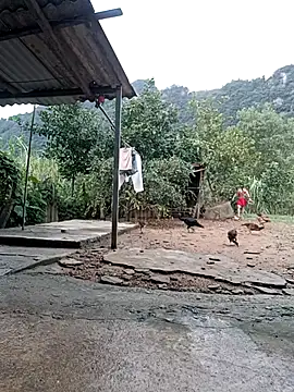 SexyQueen99 online show from 11/08/25, 10:04