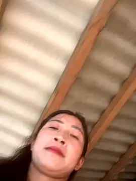 Snapshot of ThiHa003 chatting on 10/10/25, 09:52 ThiHa003 online show from 10/10/25, 09:52