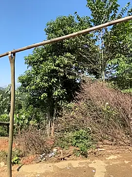 Snapshot of ThiHa003 chatting on 11/27/25, 03:52 ThiHa003 online show from 11/27/25, 03:52